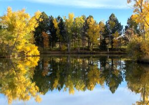 Belmar Park in the fall